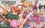 遊戯屋　GBAゲームボーイアドバンス　魔法先生ネギま！ プライベートレッスン    だめですぅ♥図書館島　買取価格高値更新しました　買取価格500円