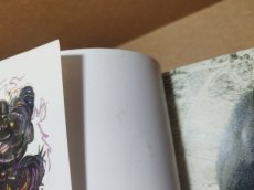画像11: ファイナルファンタジーIV 徹底攻略編【5h8】 (11)