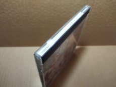画像5: 【美品評価価格】プリンセスメーカーGO！GO！プリンセス　帯チラシ箱説有　PS1プレイステーション【6m3】 (5)