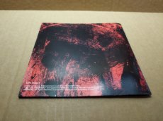 画像15: 【美品評価価格】東京魔人学園剣風帖　箱説有　PS1プレイステーション【6m3】 (15)