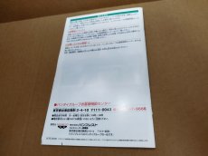 画像14: 【美品評価価格】ルパン三世 コロンブスの遺産は朱に染まる　葉書チラシ箱説有　PS2プレイステーション【8m10】 (14)