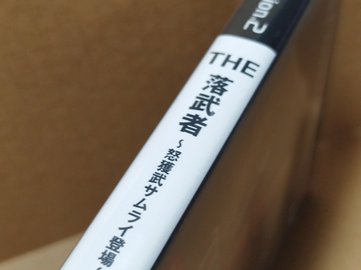 画像5: 【美品評価価格】THE 落武者 SIMPLE2000シリーズ　箱説有　PS2プレイステーション【8h6】 (5)