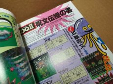 画像19: 【美品評価価格】Vジャンプブックス ゲームシリーズ ドラゴンクエストI・II　葉書有　初版【4m7】 (19)