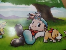 画像13: 牧場物語 ハーベストムーン 箱説有　PS1プレイステーション【7h4】 (13)
