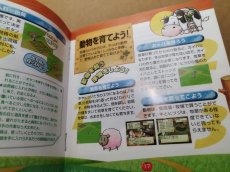 画像11: 牧場物語 ハーベストムーン 箱説有　PS1プレイステーション【7h4】 (11)