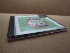 画像5: 牧場物語 ハーベストムーン 箱説有　PS1プレイステーション【7h4】 (5)