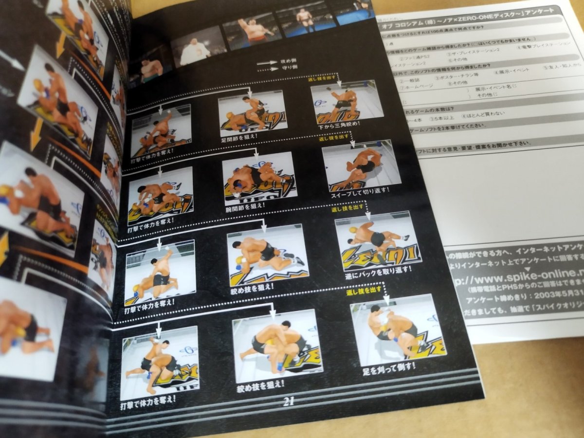 画像13: 【美品評価価格】キングオブコロシアム 赤 緑　葉書箱説有　PS2プレイステーション【8m10】 (13)