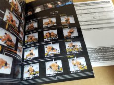 画像13: 【美品評価価格】キングオブコロシアム 赤 緑　葉書箱説有　PS2プレイステーション【8m10】 (13)