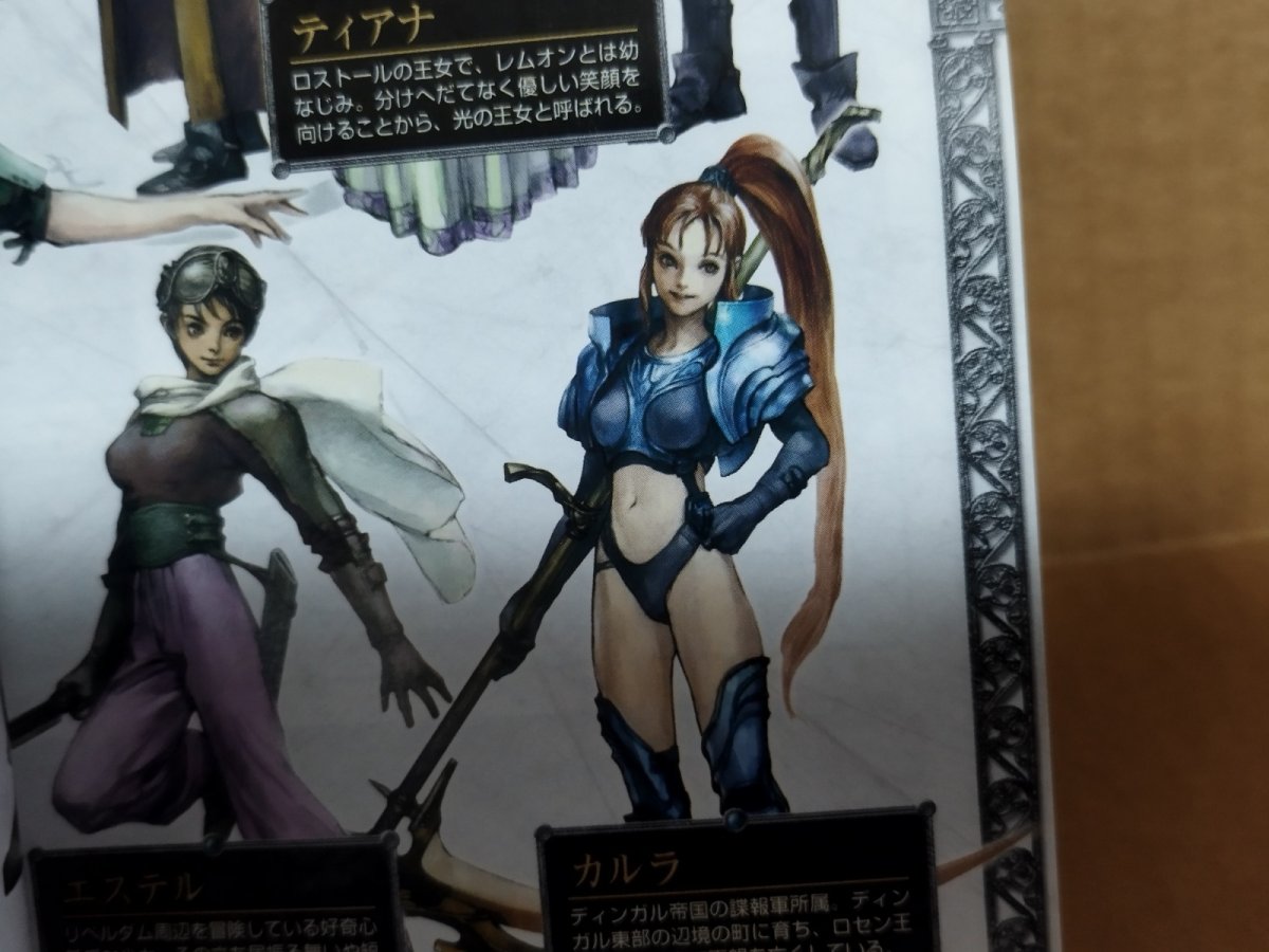 画像20: 【美品評価価格】ジルオール　葉書箱説有　PS2プレイステーション【8m10】 (20)