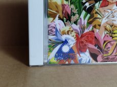 画像3: 【美品評価価格】デビュー 誕生　帯葉書箱説有　PCエンジン【7h2】 (3)