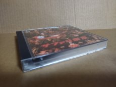 画像4: 【美品評価価格】森高千里 サファリ東京　帯葉書箱説有　PS1プレイステーション【9m4】 (4)