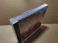 画像2: 【美品評価価格】森高千里 サファリ東京　帯葉書箱説有　PS1プレイステーション【9m4】 (2)