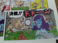 画像15: ポピュラス　帯葉書箱説有　PCエンジン【9h4】 (15)