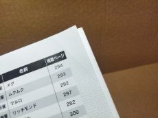 画像13: 幻想水滸伝II 公式ガイドブック 完全版【4m7】 (13)