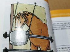 画像10: 【美品評価価格】ダービースタリオン　箱説有　SSセガサターン【9h1】 (10)