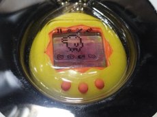 画像4: たまごっち#1800　【5m1】 (4)