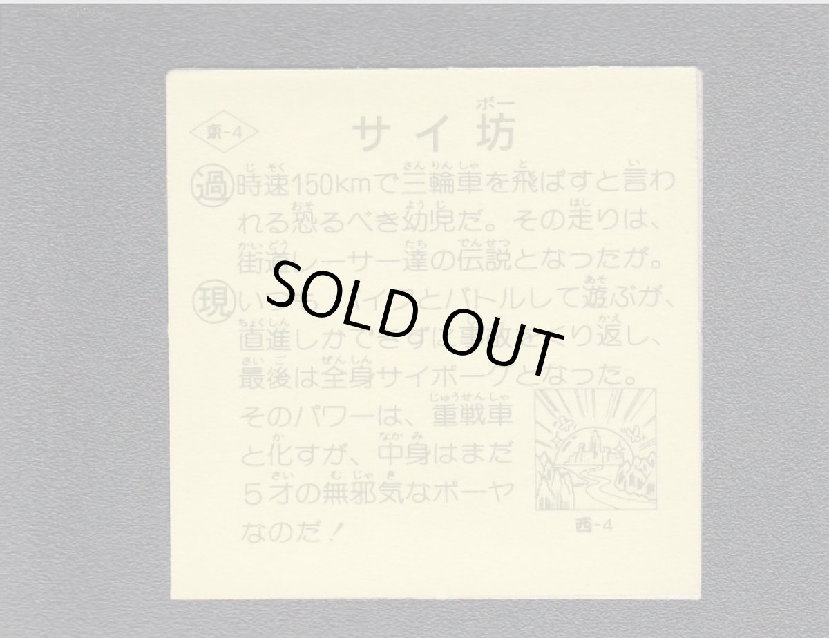 画像2: サイ坊 (2)