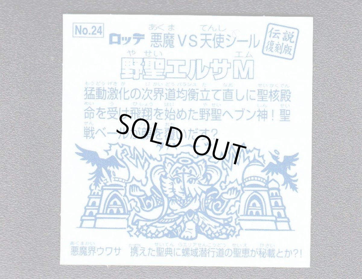 画像2: 野聖エルサM　伝説復刻版 (2)