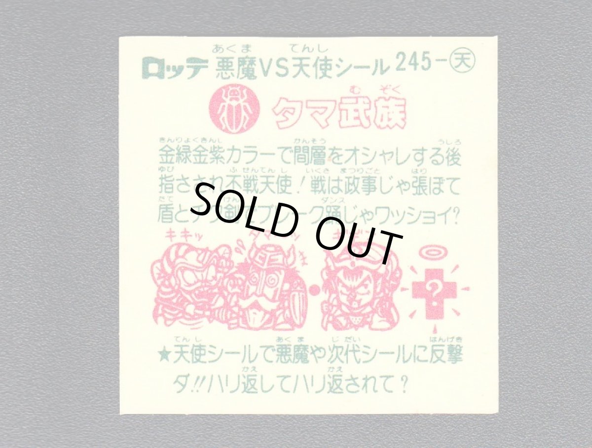 画像2: タマ武族　状態【A】 (2)