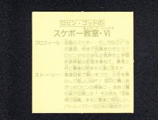 画像2: ロビン・ゴッドのスケボー教室VI　15弾 (2)