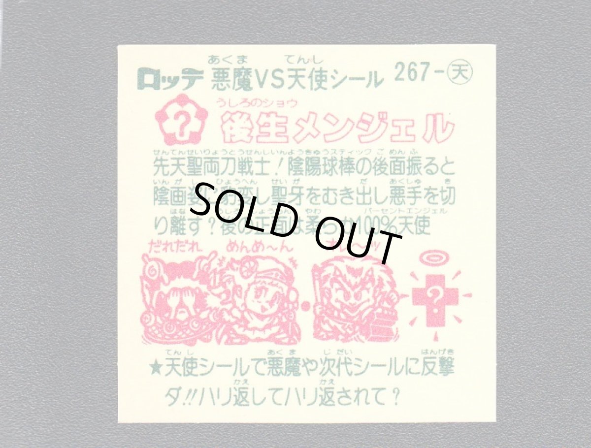 画像2: 後生メンジェル　横　状態【A】 (2)