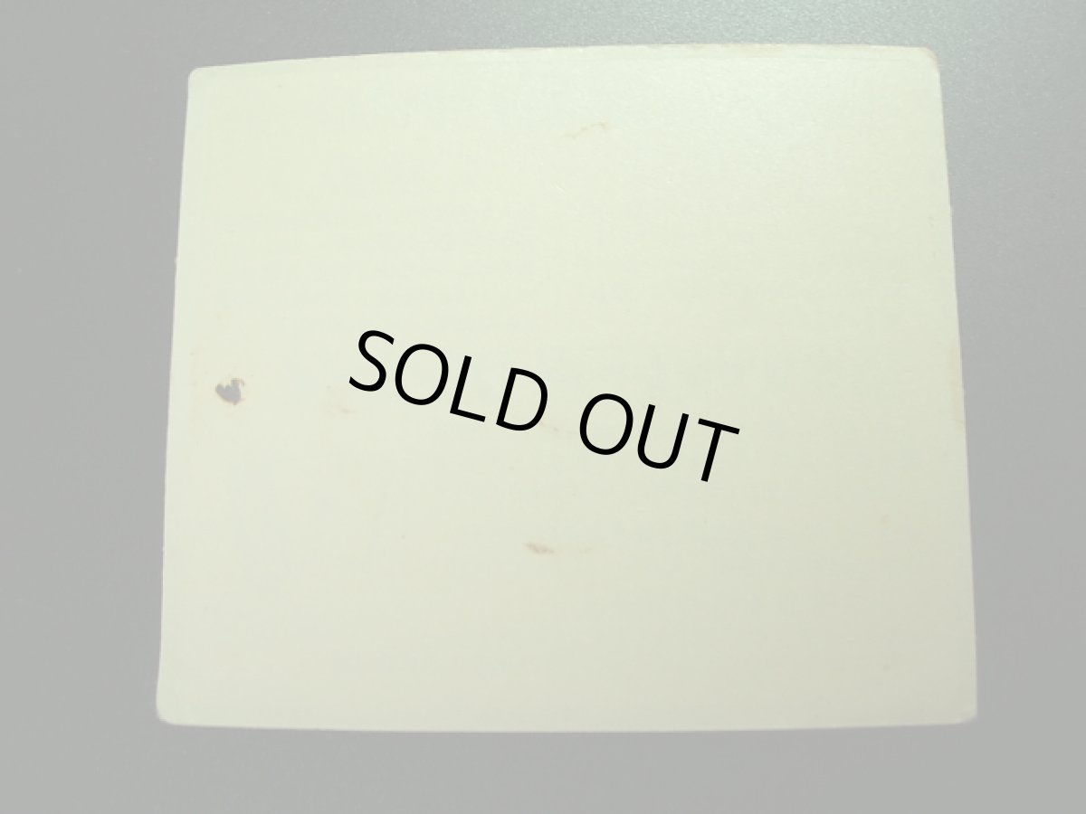 画像2: ドロン子・仮面レオン　忍者ひも丸 (2)