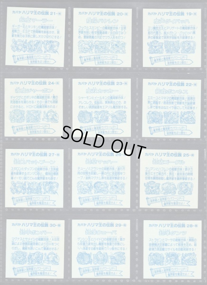 画像6: 5弾コンプ　ハリマ王の伝説 (6)