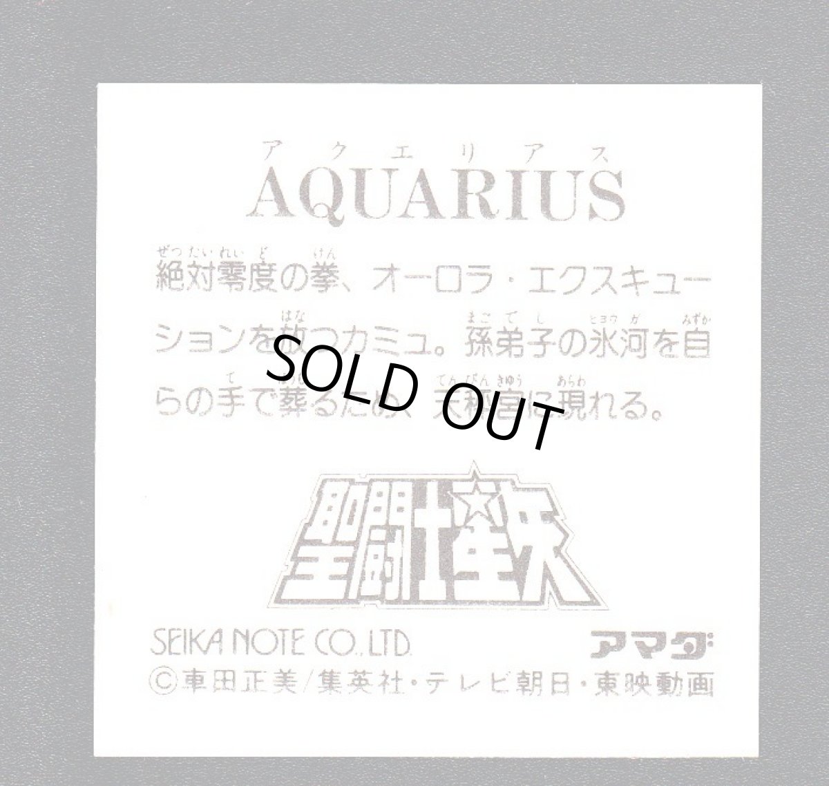 画像2: アクエリアス　聖闘士星矢 (2)