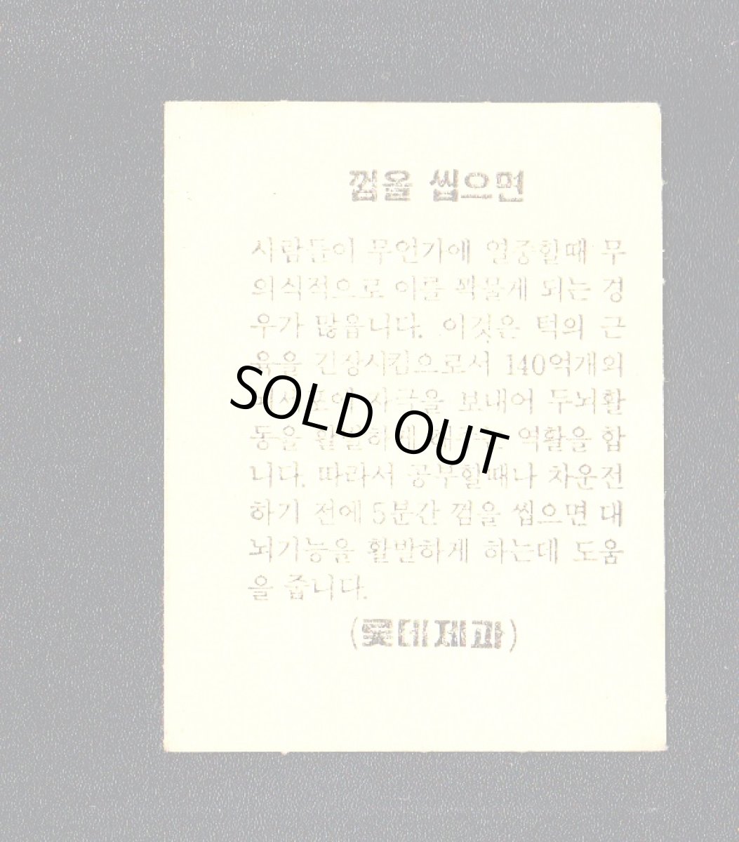 画像2: ネクロス　ネクロスの要塞　韓国版　 (2)