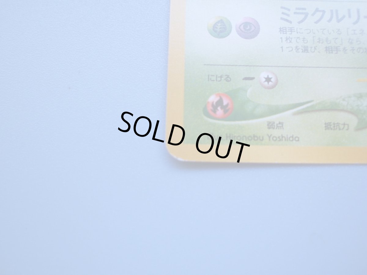 画像3: ひかるセレビィ (3)