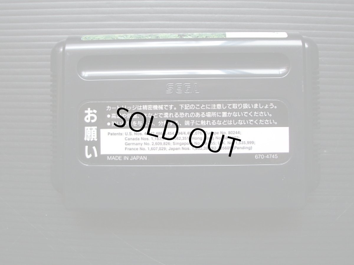 画像6: モンスターワールドIV　葉書チラシ箱説有　MDメガドライブ (6)