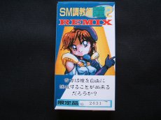 画像2: SM 調教師 瞳 2 REMIX リミックス　箱説有　SFCスーパーファミコン (2)