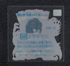 画像2: カラミヤン　渦有　状態【A】 (2)