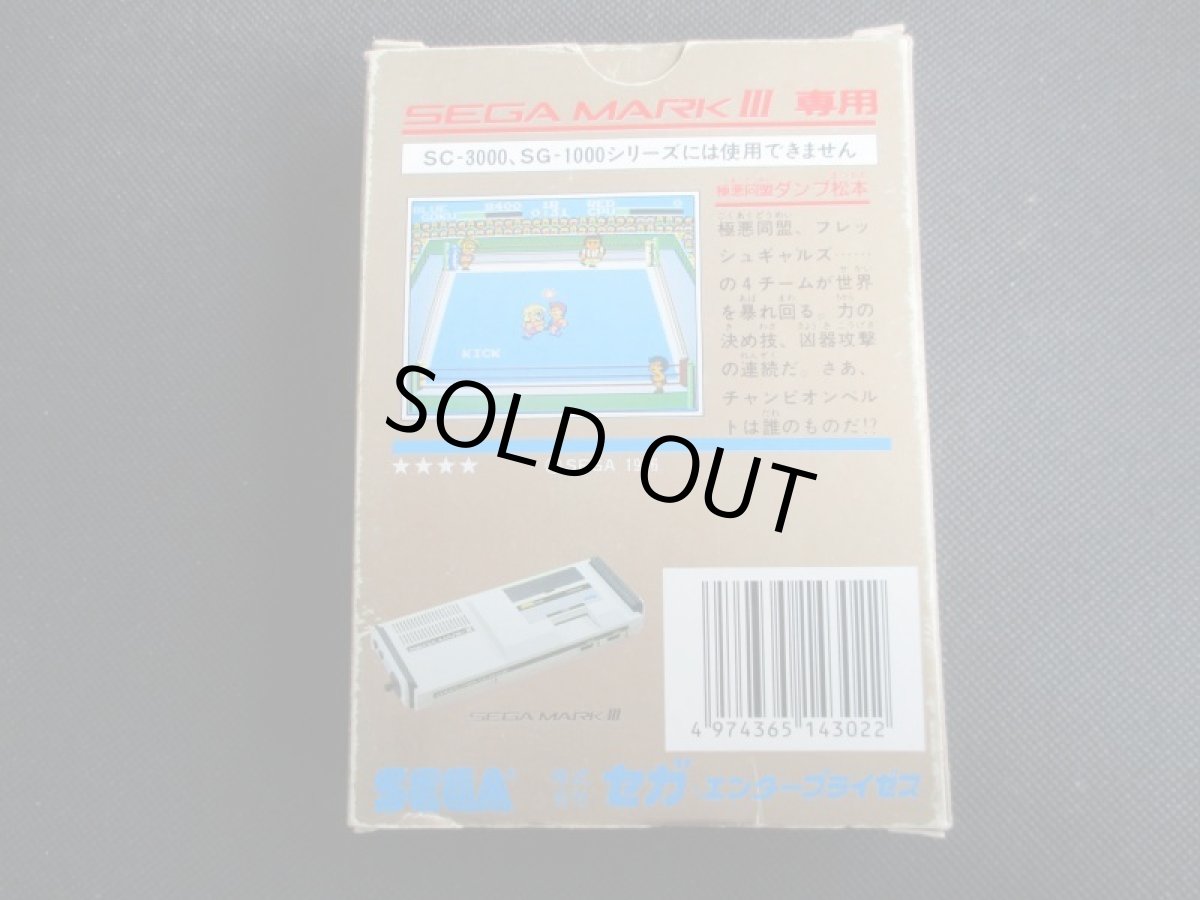 画像2: 極悪同盟　ダンプ松本　箱説有　セガマークIII (2)