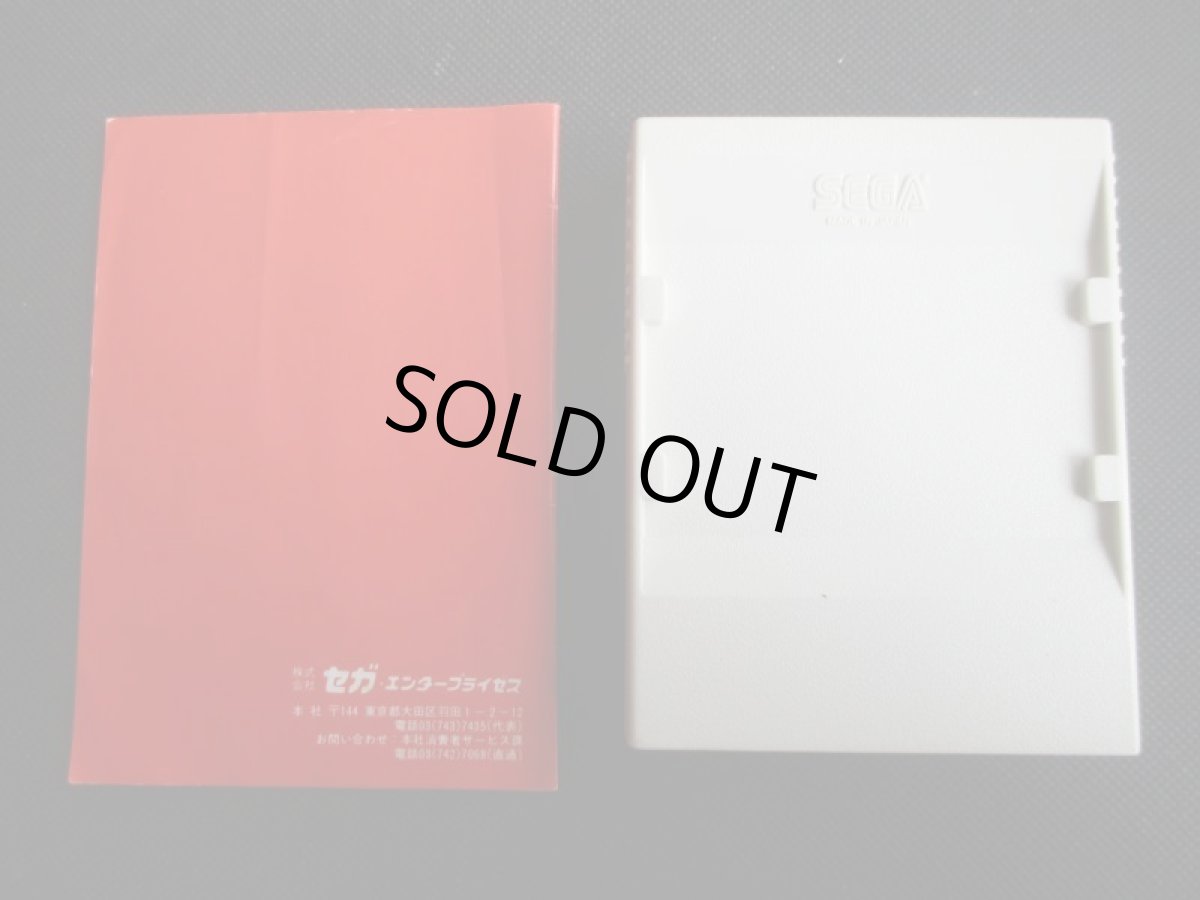 画像6: 極悪同盟　ダンプ松本　箱説有　セガマークIII (6)