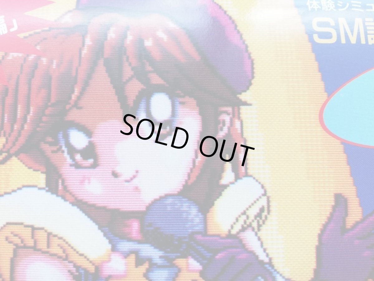 画像3:  SM調教師瞳2　箱説有　SFCスーパーファミコン (3)