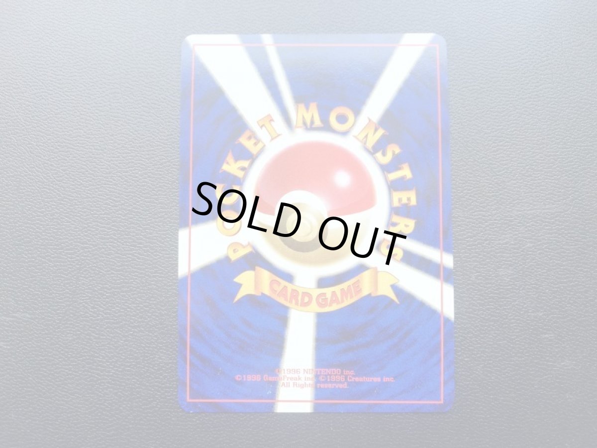 画像6: カメックス (6)