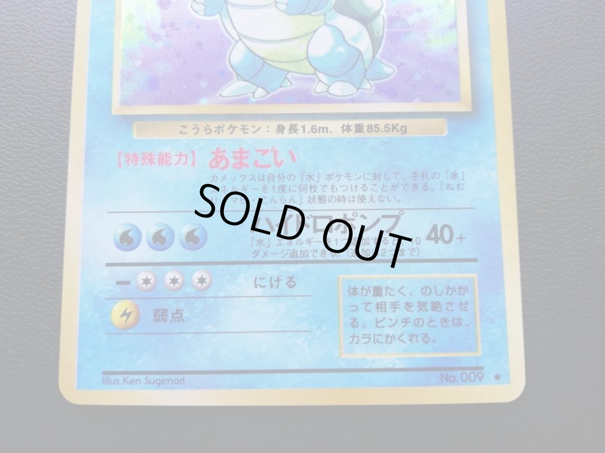 画像5: カメックス (5)