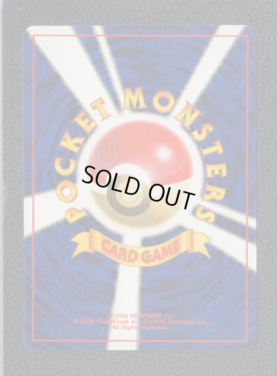 画像2: カメックス (2)