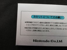 画像5: アイスクライマー　新品未使用　FCファミコン (5)