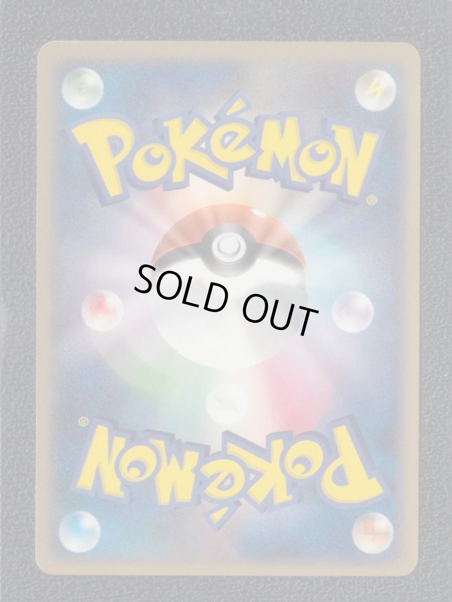 画像2: ブイゼル　120/DP-P (2)