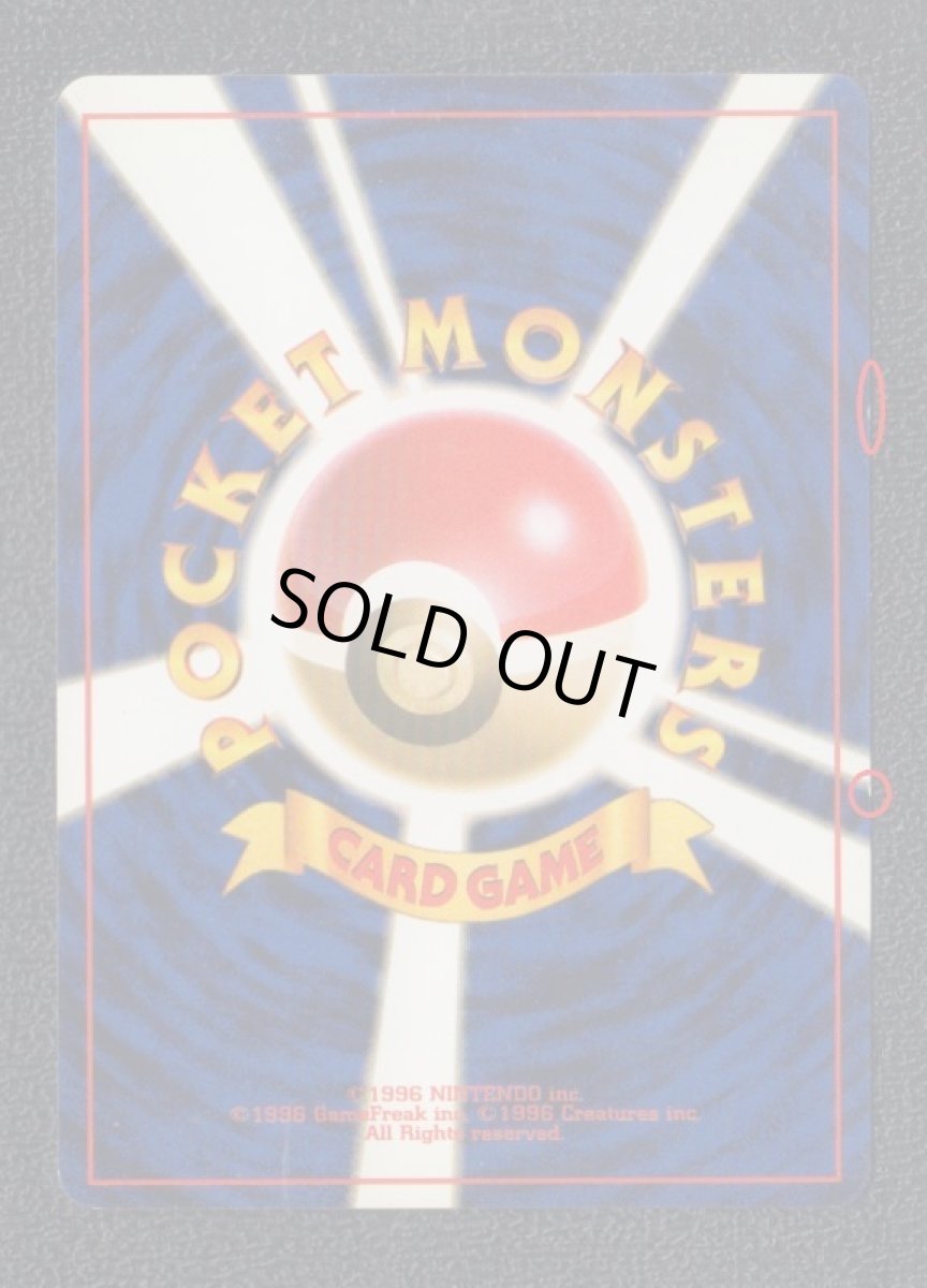 画像3: デンリュウ (3)