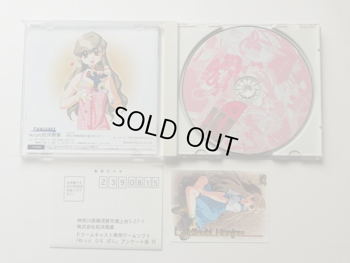 画像2: ねっとDEぱら　カード葉書箱説有　DCドリームキャスト (2)