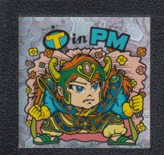 画像1: TinPM　状態【B】 (1)