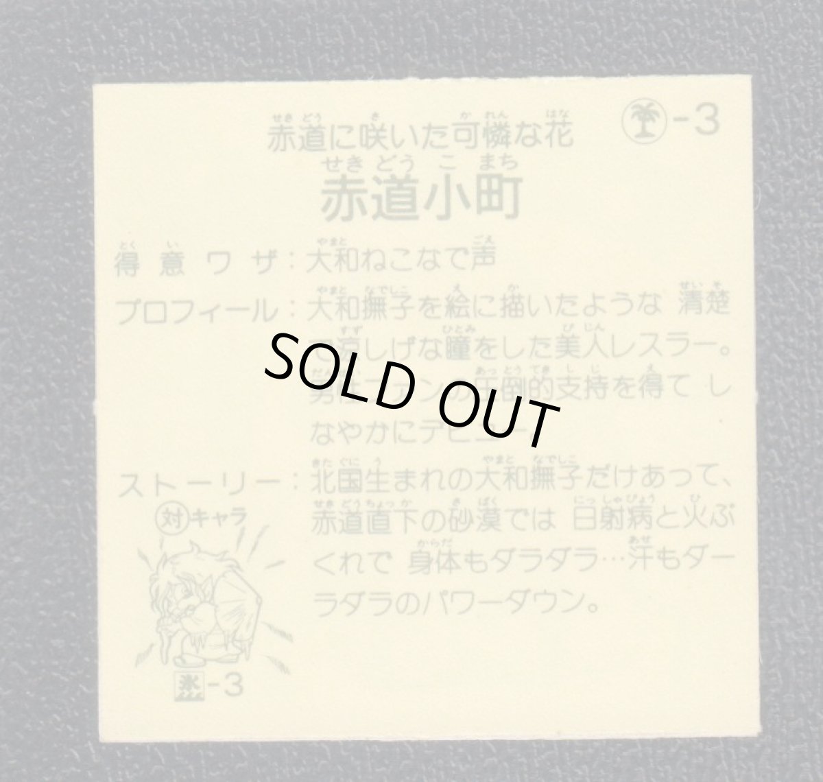 画像2: 赤道小町　ハッスルマッチ (2)