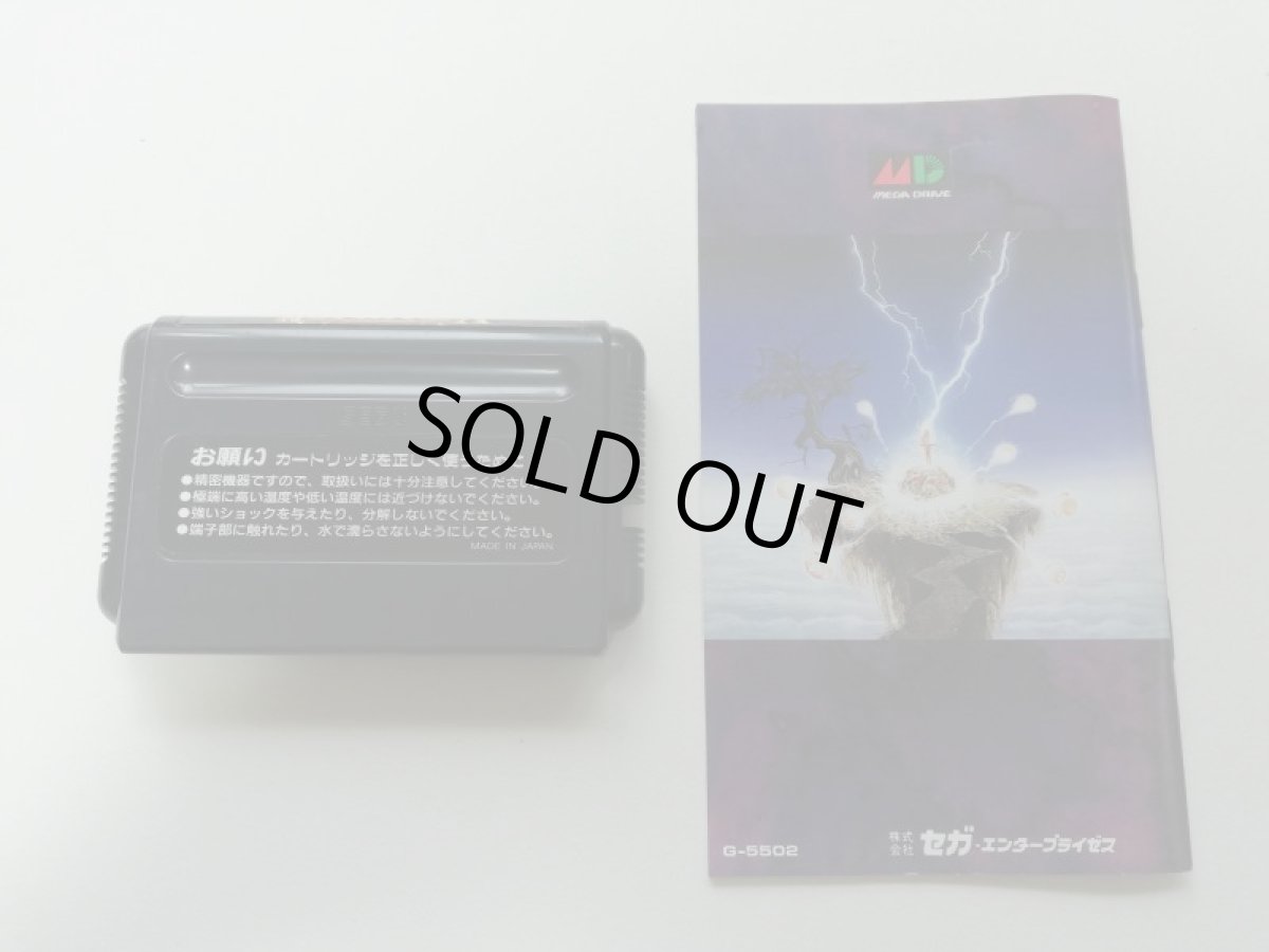 画像5: ヴァーミリオン　箱説説有　MDメガドライブ (5)