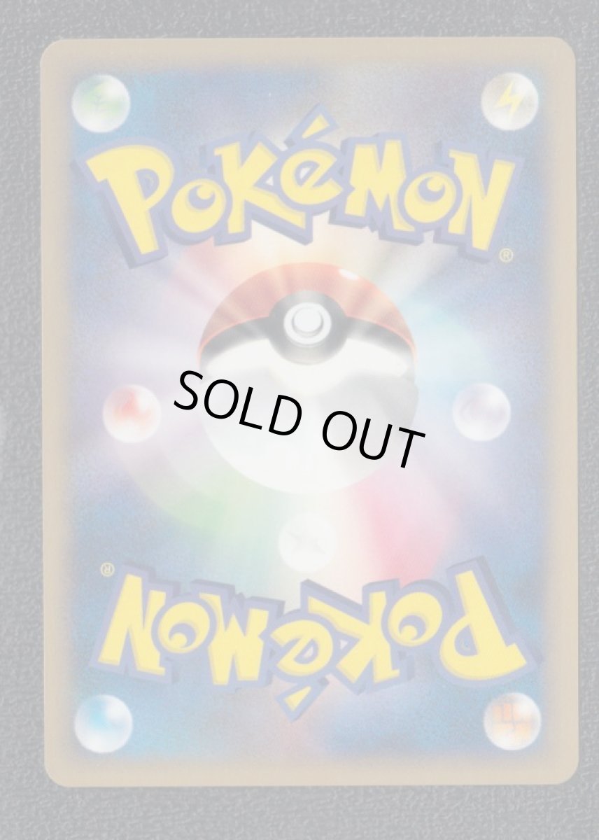 画像2: マンタイン　カードe (2)