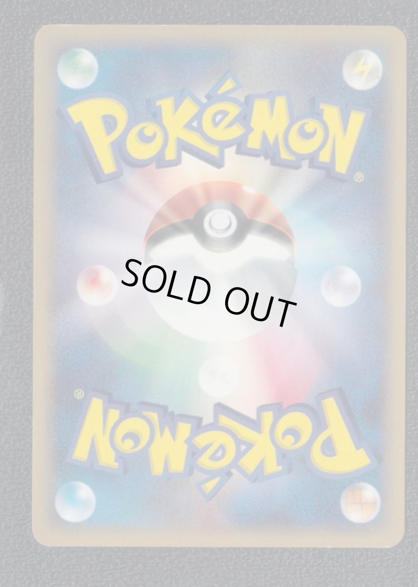 画像2: デルビル　カードe (2)