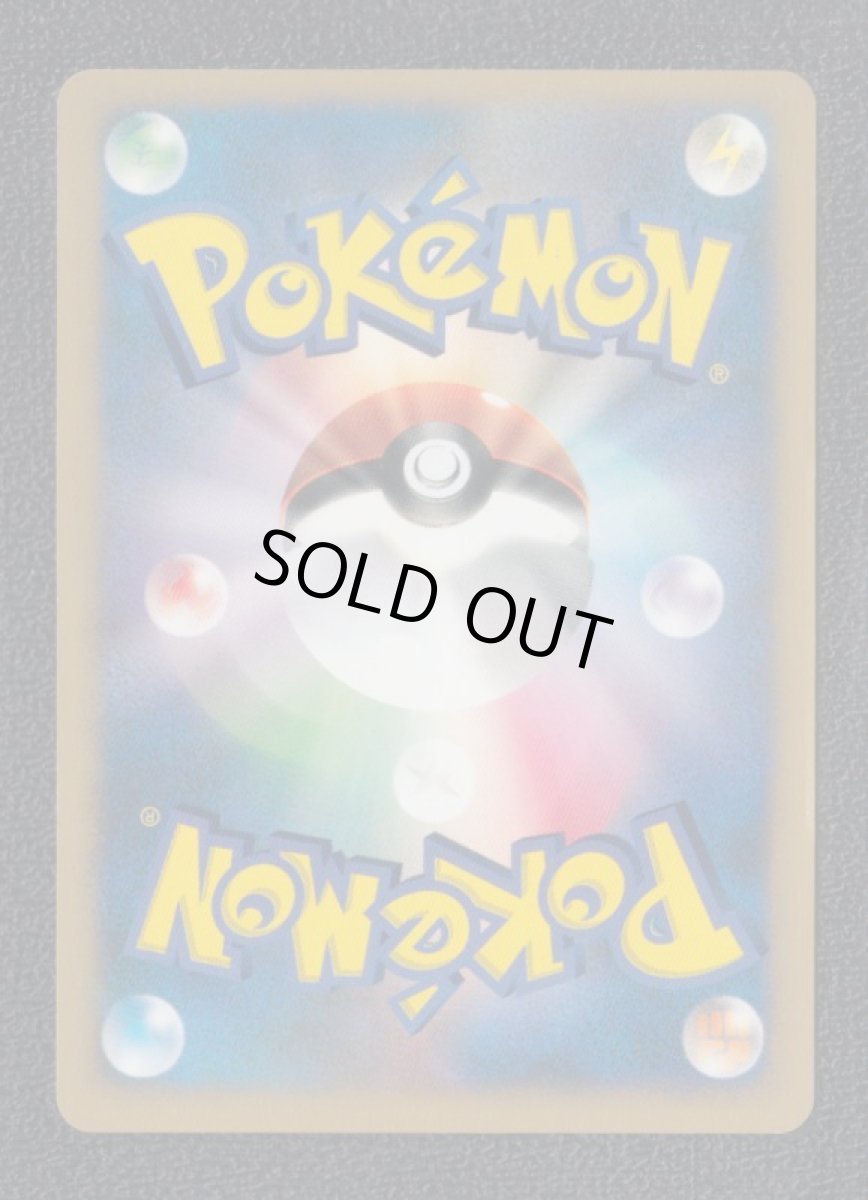 画像2: カリンのブラッキー (2)