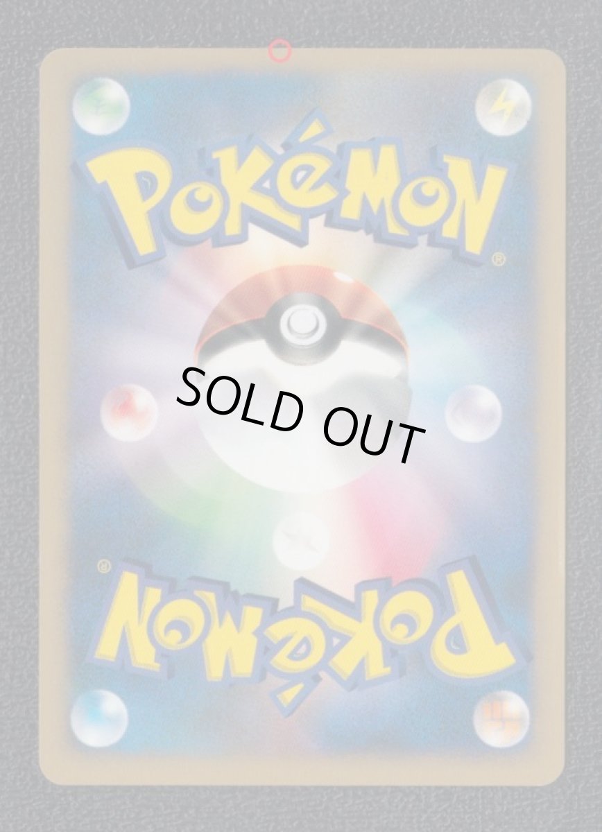 画像4: カリンのブラッキー (4)